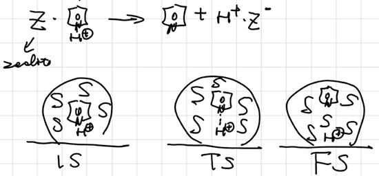 image-20250930155358406